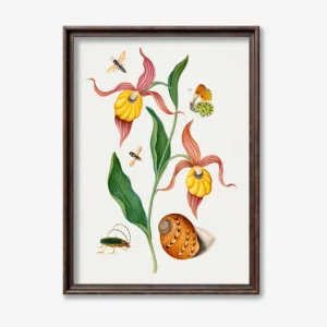 Botanical Illustration