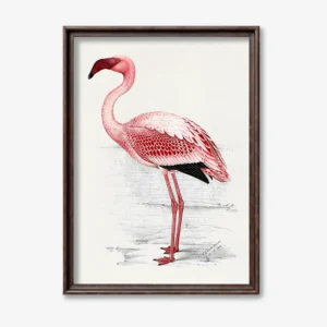 Pink Flamingo Illustration